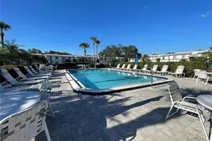 102 Palmetto Ct, Oldsmar, FL 34677 - Photo 34