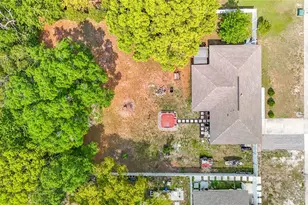 541 Edgehill Ave, Spring Hill, FL 34606 - Photo 32
