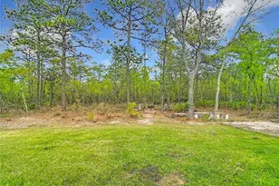 15062 Mt Ivy Rd, Weeki Wachee, FL 34614 - Photo 62