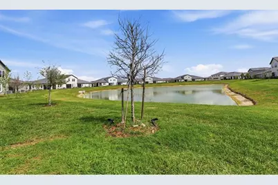 10799 Gable Dig Loop, San Antonio, FL 33576 - Photo 18