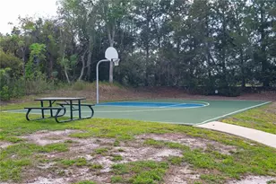 6151 New Osprey Point, Weeki Wachee, FL 34607 - Photo 56