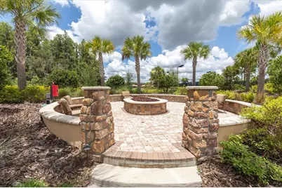 3312 Francoa Drive, Odessa, FL 33556 - Photo 46