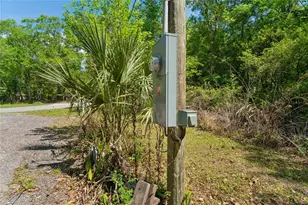 20424 Marguerite Rd, Brooksville, FL 34601 - Photo 70