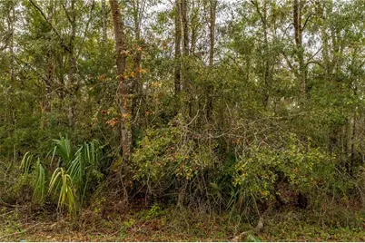 Lake Lindsey Tract 2 Road, Brooksville, FL 34601 - Photo 4