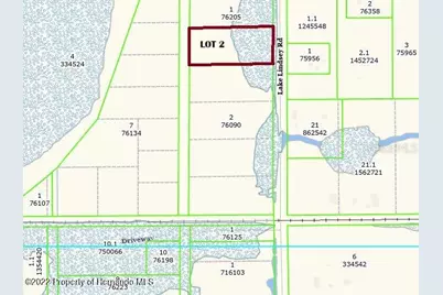 Lake Lindsey Tract 2 Road, Brooksville, FL 34601 - Photo 12