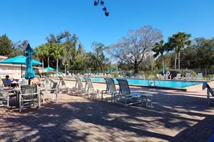 6433 Tina Dr, New Port Richey, FL 34653 - Photo 56