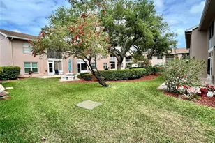 6433 Tina Dr, New Port Richey, FL 34653 - Photo 20