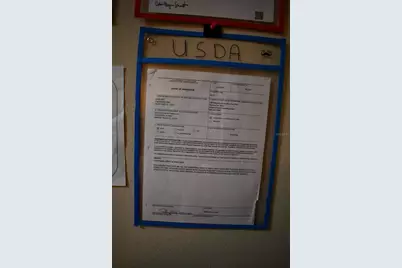 [Address not provided], Ormond Beach, FL 32174 - Photo 38