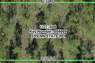 00 Penn State Rd, Weeki Wachee, FL 34613 - Photo 1