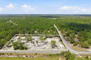 14235 Carolina Dove Rd, Weeki Wachee, FL 34614 - Photo 1