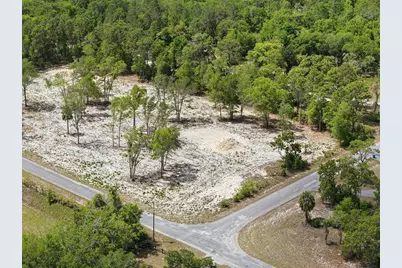 14235 Carolina Dove Road, Weeki Wachee, FL 34614 - Photo 4