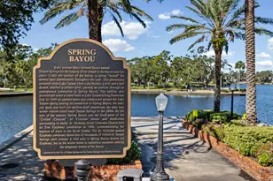 2126 Parrot Fish Dr, Holiday, FL 34691 - Photo 74