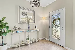 30959 Parrot Reef Ct, Wesley Chapel, FL 33545 - Photo 4