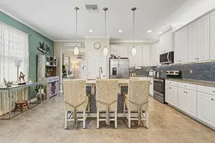 30959 Parrot Reef Ct, Wesley Chapel, FL 33545 - Photo 6