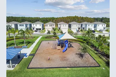 3012 Pink Peacock Lane, Odessa, FL 33556 - Photo 32