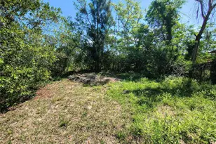 6810 Shady Acres Blvd, New Port Richey, FL 34653 - Photo 4