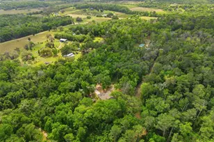 11459 Trail Rdg Run, Brooksville, FL 34601 - Photo 58