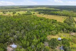 11459 Trail Rdg Run, Brooksville, FL 34601 - Photo 56