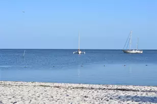 7296 NW 170th St, Trenton, FL 32693 - Photo 32