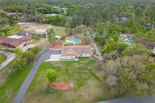 9720 Delray Dr, New Port Richey, FL 34654 - Photo 10