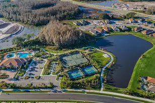 11151 Calluna Dr, Odessa, FL 33556 - Photo 46