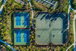 11151 Calluna Dr, Odessa, FL 33556 - Photo 50