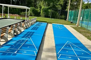 4908 Myrtle Oak Dr, New Port Richey, FL 34653 - Photo 42