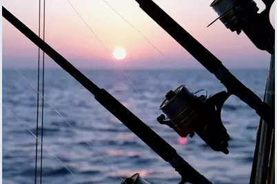 7 Eagle Lane, Palm Harbor, FL 34683 - Photo 72