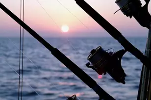 7 Eagle Ln, Palm Harbor, FL 34683 - Photo 72