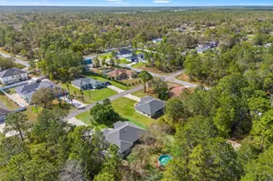 11128 Lomita Wren Rd, Weeki Wachee, FL 34614 - Photo 36