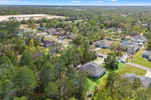 11128 Lomita Wren Rd, Weeki Wachee, FL 34614 - Photo 38