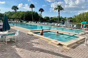 1423 Pine Glen Ln, Tarpon Springs, FL 34688 - Photo 38