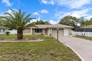 3217 Abeline Rd, Spring Hill, FL 34608 - Photo 48