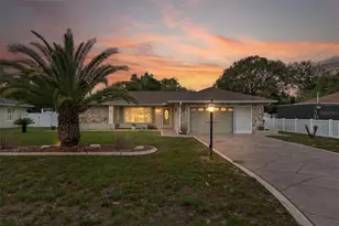 3217 Abeline Rd, Spring Hill, FL 34608 - Photo 1