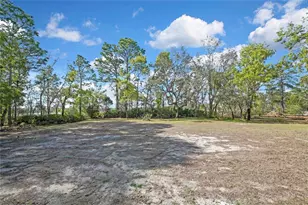 7250 Madrid Rd, Weeki Wachee, FL 34613 - Photo 40