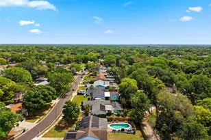 2816 Rustic Oaks Dr, Palm Harbor, FL 34684 - Photo 66