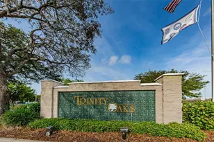 1050 Maravista Dr, Trinity, FL 34655 - Photo 42
