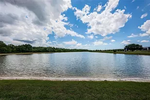 1050 Maravista Dr, Trinity, FL 34655 - Photo 56