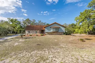 9947 Grove Dr, New Port Richey, FL 34654 - Photo 52