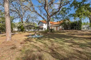 9947 Grove Dr, New Port Richey, FL 34654 - Photo 10