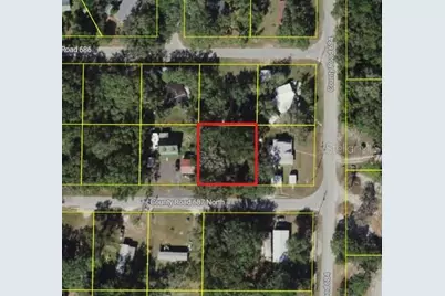 Cr 687, Webster, FL 33597 - Photo 4