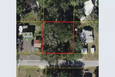 Cr 687, Webster, FL 33597 - Photo 2