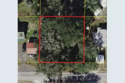 Cr 687, Webster, FL 33597 - Photo 1