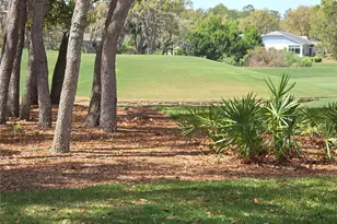 2019 Quailwood Ln, Spring Hill, FL 34606 - Photo 24