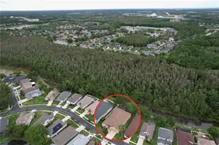 27509 Edenfield Dr, Wesley Chapel, FL 33544 - Photo 52