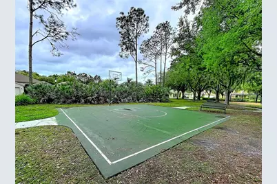 27509 Edenfield Drive, Wesley Chapel, FL 33544 - Photo 42