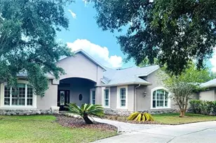 11939 Pasco Trails Blvd, Spring Hill, FL 34610 - Photo 1