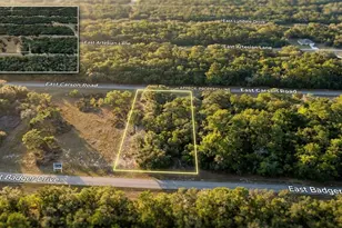 1728 E Badger Dr, Dunnellon, FL 34434 - Photo 1