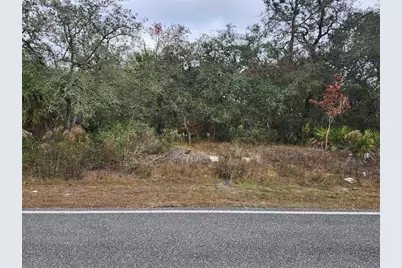 10548 Noddy Tern Road, Weeki Wachee, FL 34613 - Photo 2