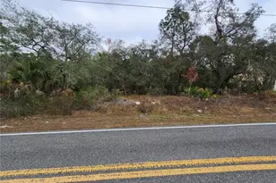 10548 Noddy Tern Rd, Weeki Wachee, FL 34613 - Photo 1